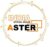 Aster Software India